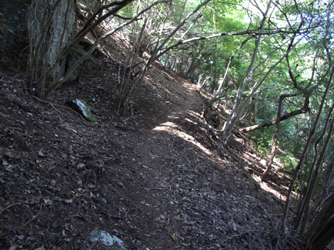 20151014hike (92)